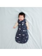 ERGOPOUCH Pólya és hálózsák 2 az 1-ben 0-3 hónap 3-6 kg 2,5 tog - Cocoon Whale