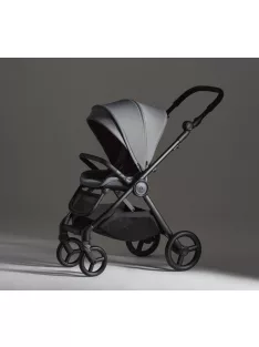 Anex Iq (all-in-one) babakocsi - IQ-23 LOFT
