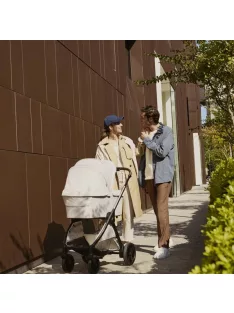Chicco Flexi mózeskosár Bellagio babakocsihoz 0-6 hó