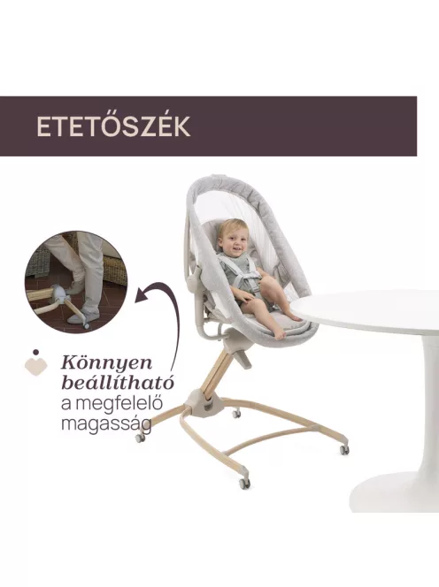 Chicco Baby Hug Armonia bölcső - asztali szék 0 - 15 kg, 0- 36 hó