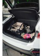 Britax Römer Rio Lux mózeskosár - Soft Taupe