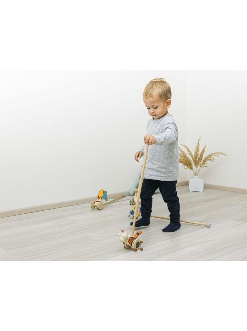 Zopa Fa tologatható játék - virág Flower