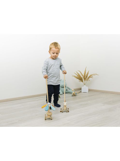 Zopa Fa tologatható játék - virág Flower