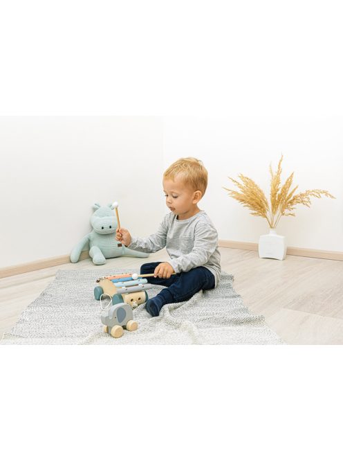 Zopa Fa húzható xilofon Xylophone