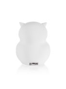 Zopa Szilikon LED éjszakai fény zenével L-es méretben, bagoly Owl