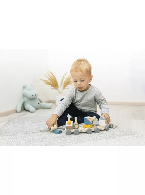 Zopa Fa vonat Train