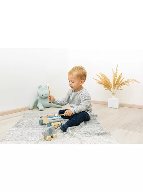Zopa Fa húzható - Xylophone