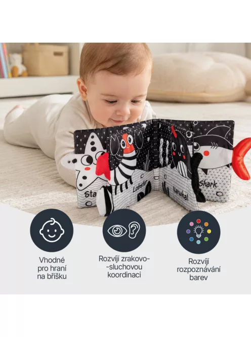 Zopa Kontrasztos fejlesztő plüsskönyv Panda