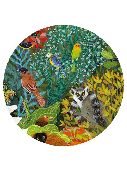 Djeco Művész puzzle, Kaméleon