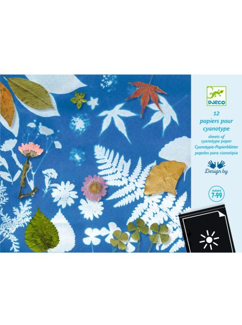 Djeco: Design by Művészeti műhely - Papírok a Cianotípia technikához - Cyanotype Paper