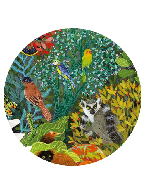 Djeco Művész puzzle, Kaméleon