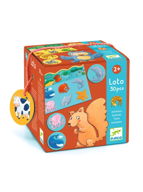 Djeco Képeslottó Állatok élőhelye - Animals loto