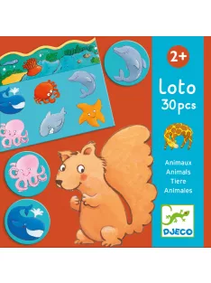Djeco Képeslottó Állatok élőhelye - Animals loto