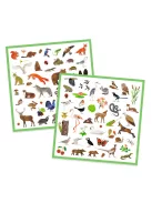 Djeco Matricák Állatvilág - Fauna