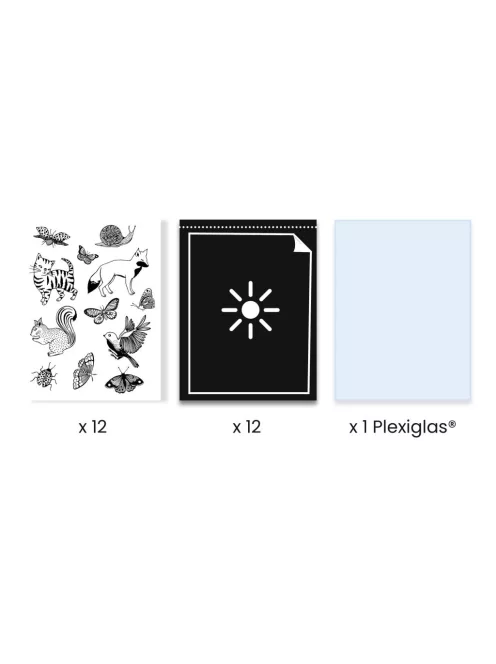 Djeco Design by Művészeti műhely Napnyomat kezdő készlet - Cyanotype Starter Kit
