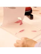 AGA Műterem 46 Gélnyomtatás Színtár - Atelier 46 Gel Printing