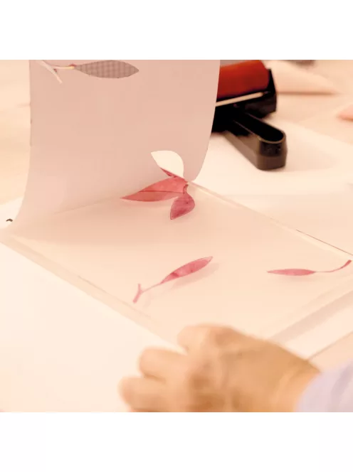 AGA Műterem 46 Gélnyomtatás Színtár - Atelier 46 Gel Printing