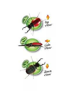   Navir Három nézőszögű bogárvizsgáló - Triple Bug Viewer 3 way