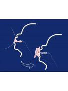 LOVI Dinamikus nyugtató I LOVE cumi 0-6hó 2 db