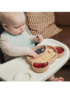   Canpol babies Szilikon osztott tányér, tapadókoronggal, Mackó - krémszín
