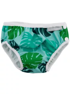 Vimse úszópelenka - Monstera