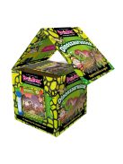 BrainBox dinoszauruszok