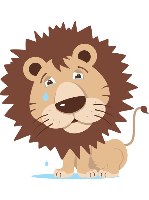 Inglesina System DARWIN XT Recline 0+  RC MAGNET GREY-2/2