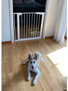 DogSpace Lassie nyomás rögzítő kapu rács kutyáknak 73-80cm - fehér