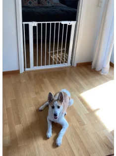   DogSpace Lassie nyomás rögzítő kapu rács kutyáknak 73-80cm - fehér
