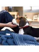 DogSpace Lassie nyomás rögzítő kapu rács kutyáknak 73-80cm - fehér