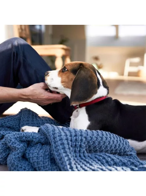 DogSpace Lassie nyomás rögzítő kapu rács kutyáknak 73-80cm - fehér