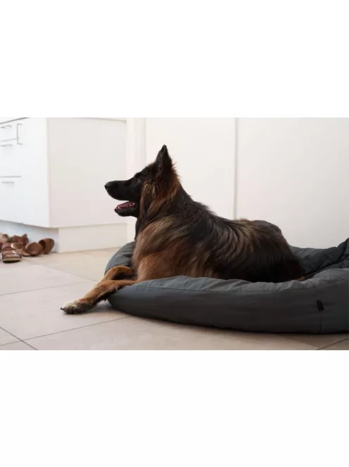 DogSpace Bonie extra magas kutya korlát 105 cm fém - fekete