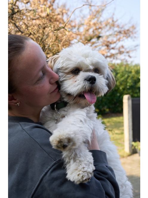 DogSpace Lucky toldalék kapu - metál fehér