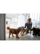 DogSpace Charlie extra magas kapu 62-107cm csavarozható - fehér fém