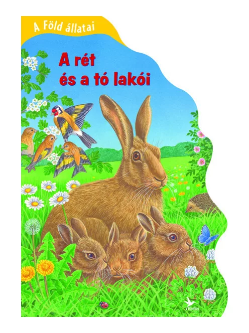 Bob Bampton - A Föld állatai - A rét és a tó lakói