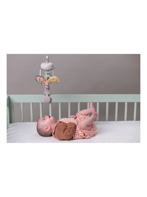 Taf Toys zenélő-forgó mini Szavanna 13285