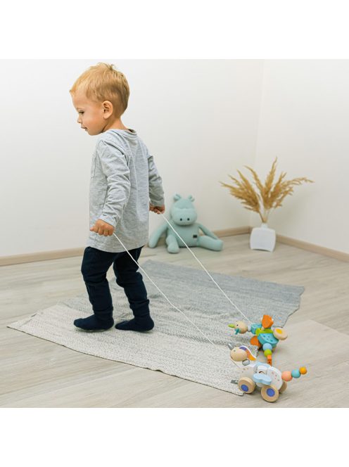 Zopa fa játék húzható Sárkány