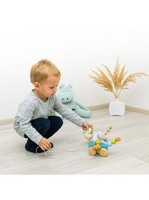 Zopa fa játék húzható Sárkány