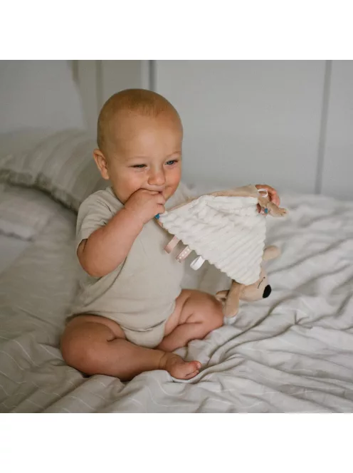 BabyOno plüss szundikendő - Charlie koala 1559