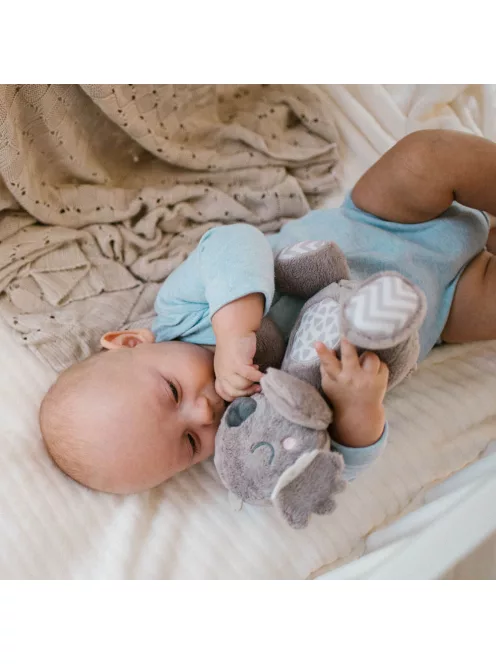 BabyOno csörgő Koala Coco - koala plüss 1631