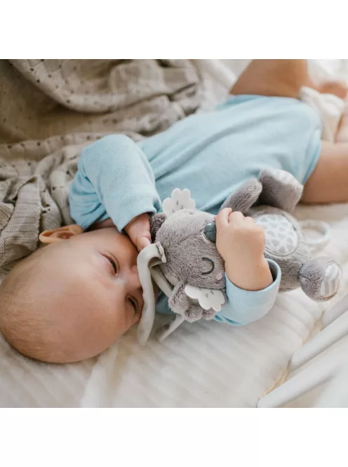 BabyOno felhúzós-zenélő játék - Koala Coco 1632