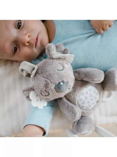 BabyOno felhúzós-zenélő játék - Koala Coco 1632