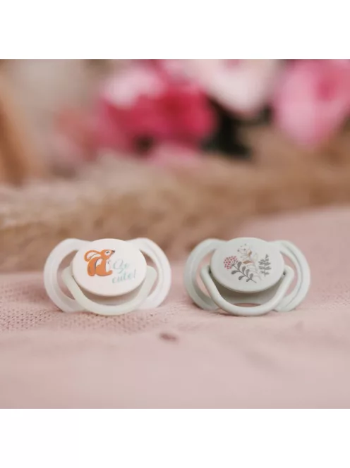 BabyOno Játszócumi szimmetrikus szilikon dupla So Cute 6-18 hó 1669/02