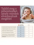 Ergobaby Evolve 3 in 1 Pihenőszék - Soft Olive / Olivazöld