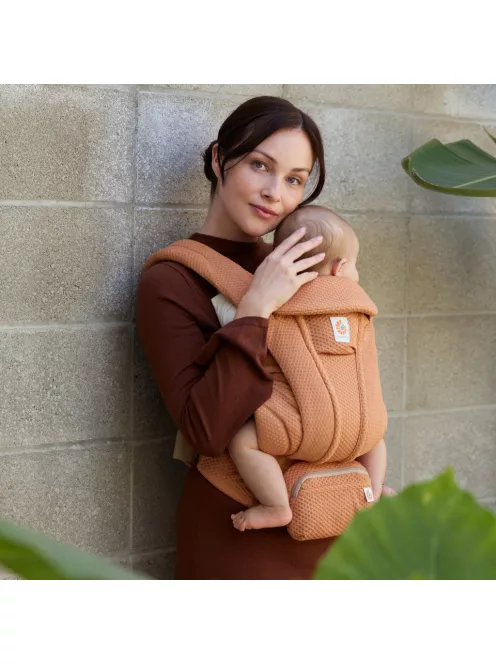 Ergobaby Omni Deluxe Mesh Hordozó - Graphite Grey / Grafit szürke