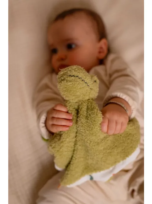 Lässig Baby ajándékszett - Dino