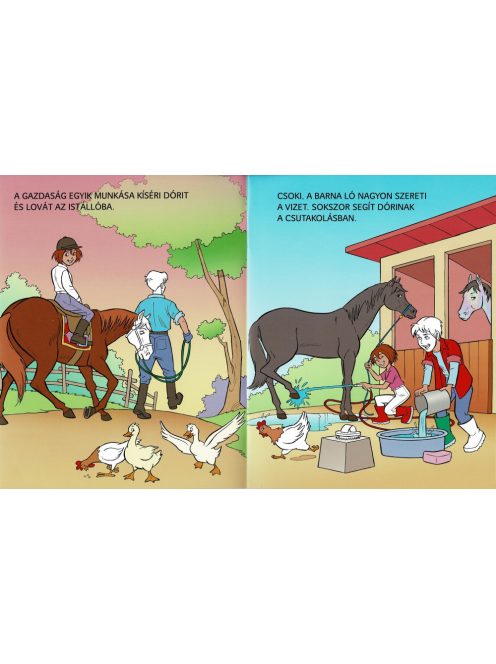 Pónis matricásfüzet 2.