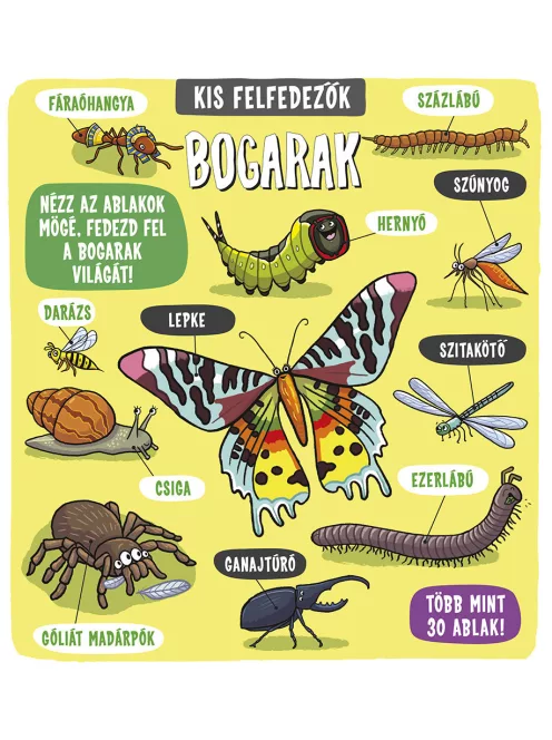 Kis felfedezők - Bogarak