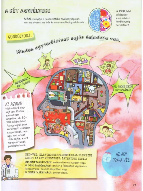 Szórakoztató tudomány - Az emberi test csodája