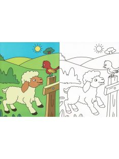 Kicsik színezője - Állatok